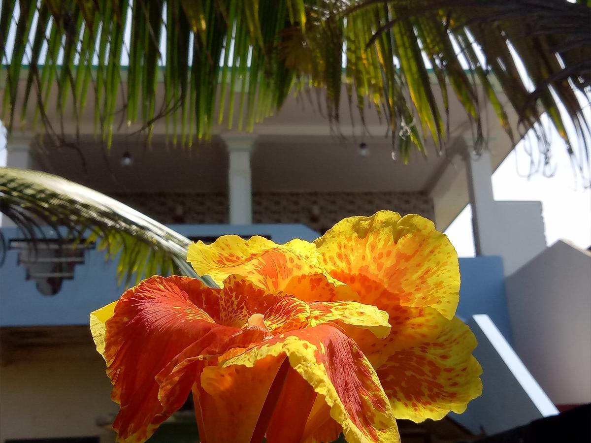 Githmini Beach House And Toures ヒッカドゥワ エクステリア 写真